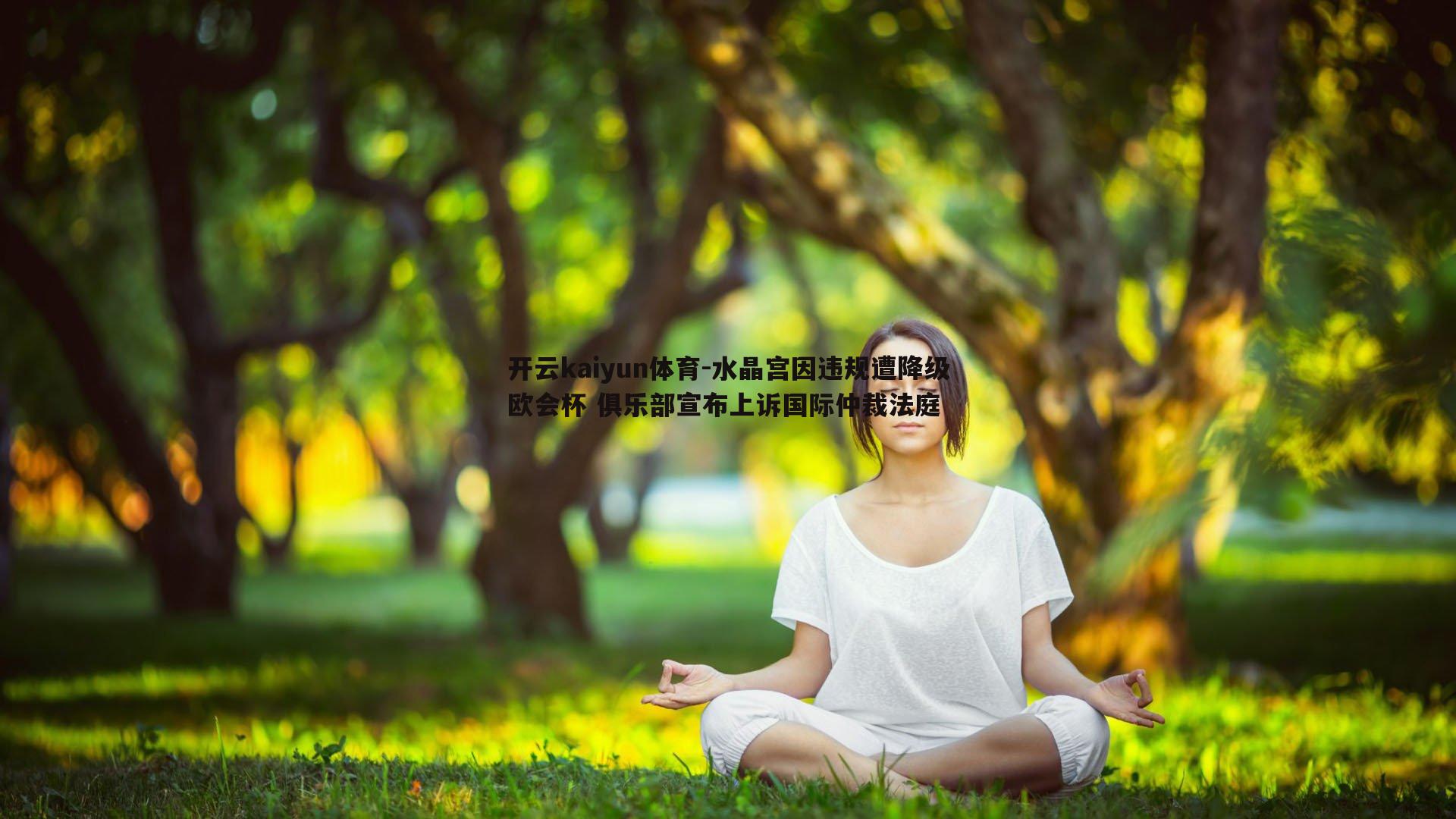 水晶宫因违规遭降级欧会杯 俱乐部宣布上诉国际仲裁法庭