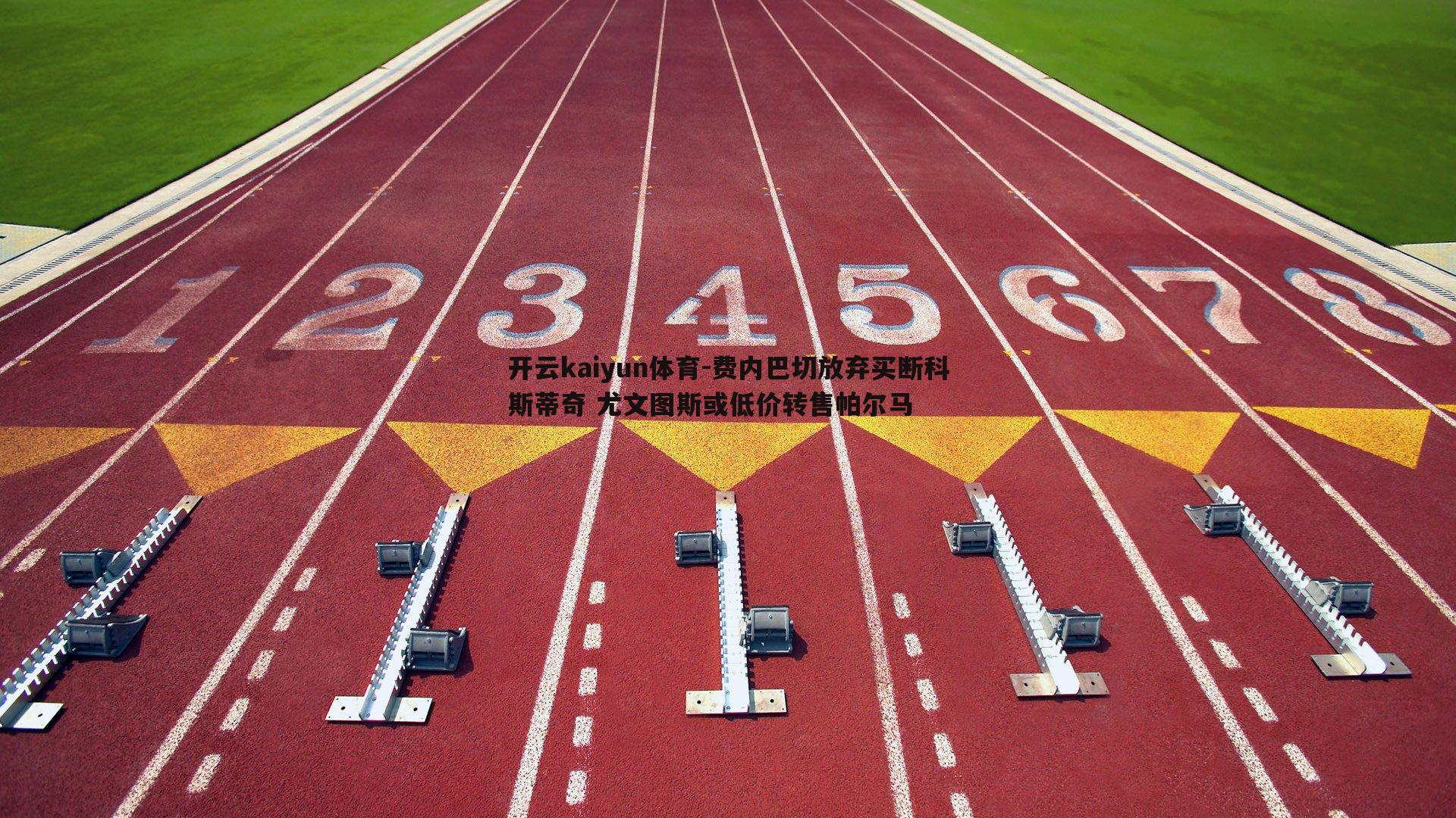 开云kaiyun体育-费内巴切放弃买断科斯蒂奇 尤文图斯或低价转售帕尔马